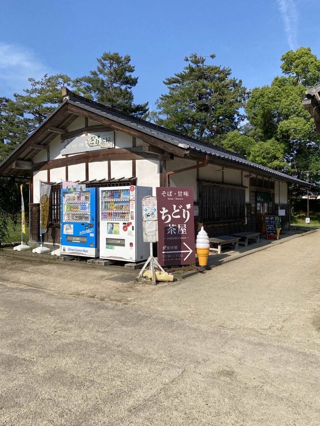 【島根】松江城とスイーツ