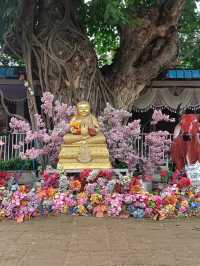 ไหว้พระปราสาทนครหลวง
