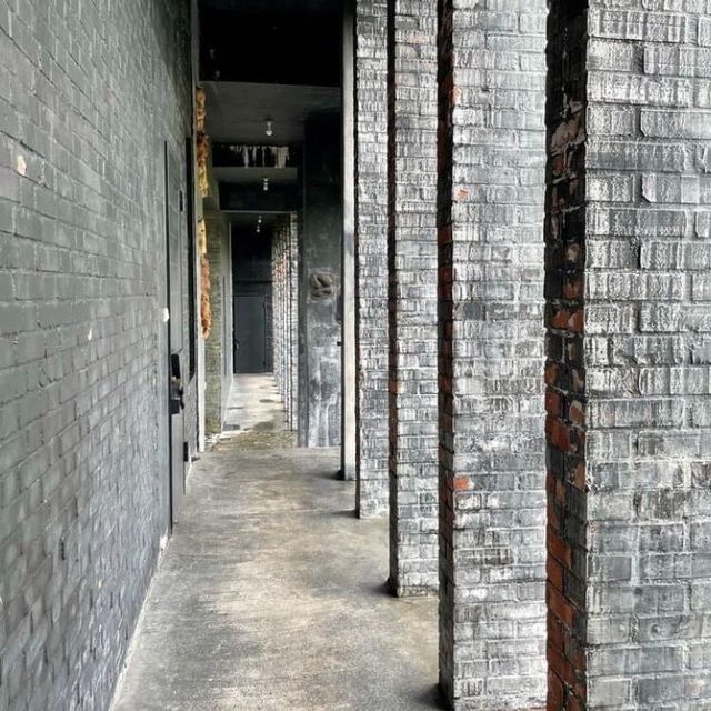 灰黑橘黃