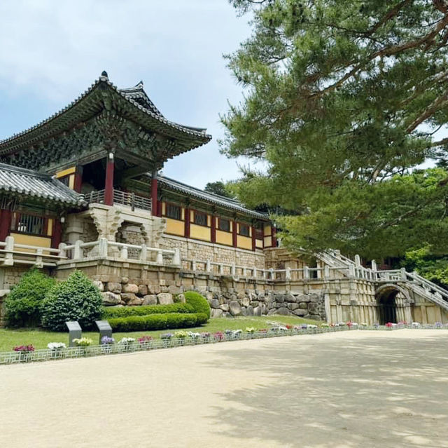 Bulguksa Temple: a hidden gem in Gyeongju 🇰🇷