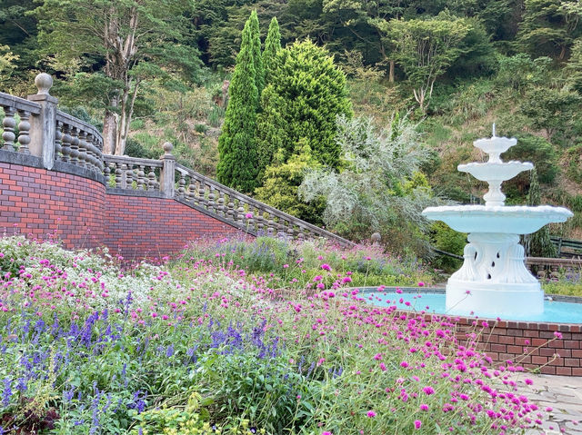 【静岡】ACAO FOREST