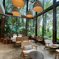 MiVana Coffee คาเฟ่ป่าในเมือง