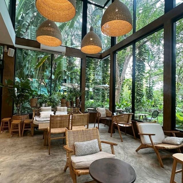 MiVana Coffee คาเฟ่ป่าในเมือง