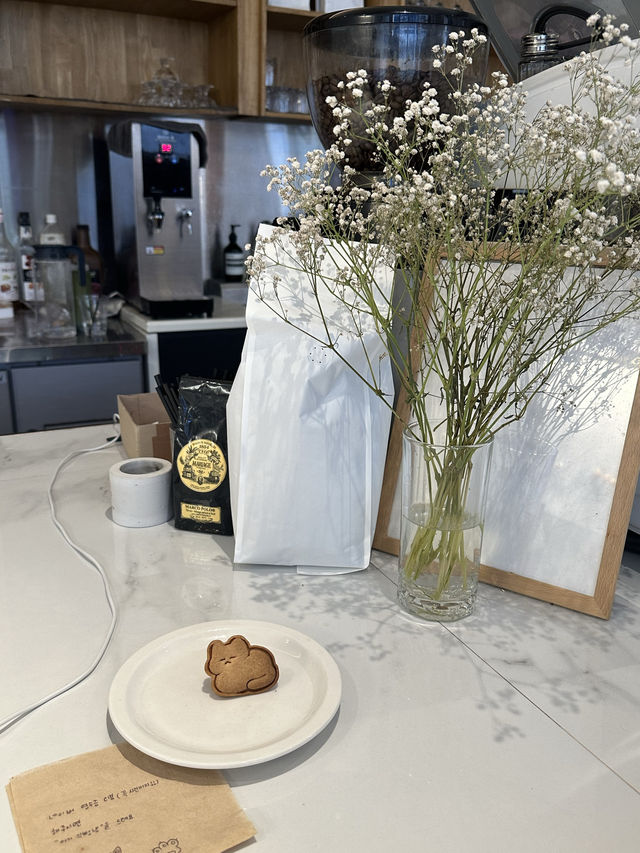 【韓国/大邱/カフェ】ネコちゃんジェラートサンドがかわいい！カフェ🍨