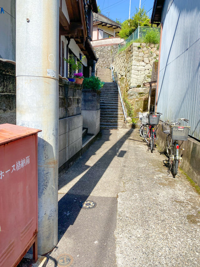 【三重 尾鷲市】三重県にある綺麗すぎる知る人ぞ知る漁港