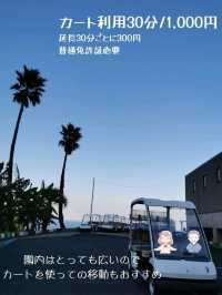 【宮崎】まるで海外!?モアイ像が見られるおすすめスポット