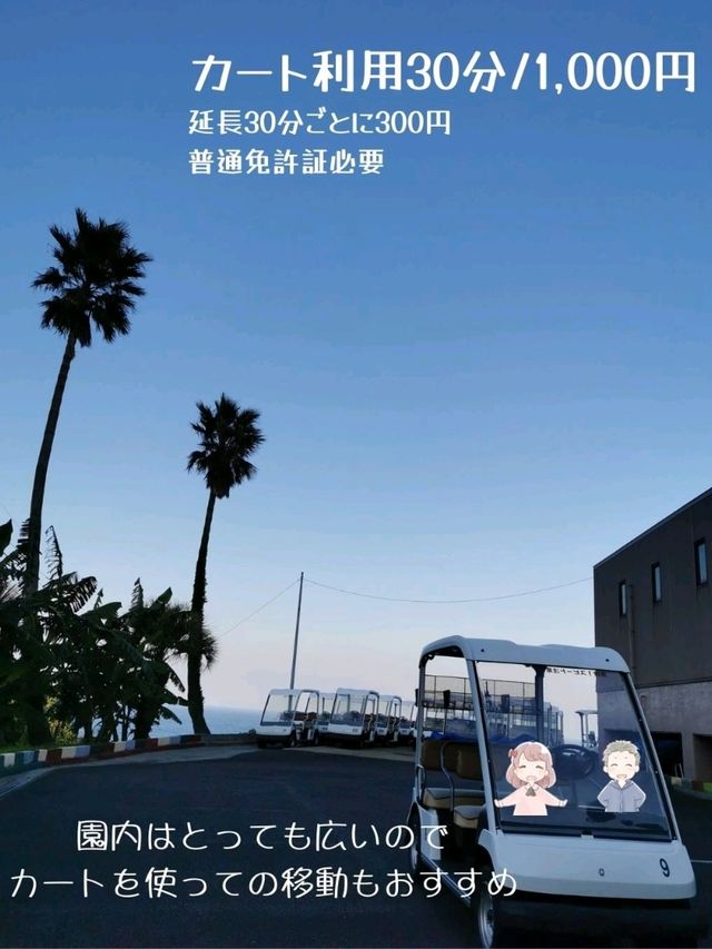 【宮崎】まるで海外!?モアイ像が見られるおすすめスポット