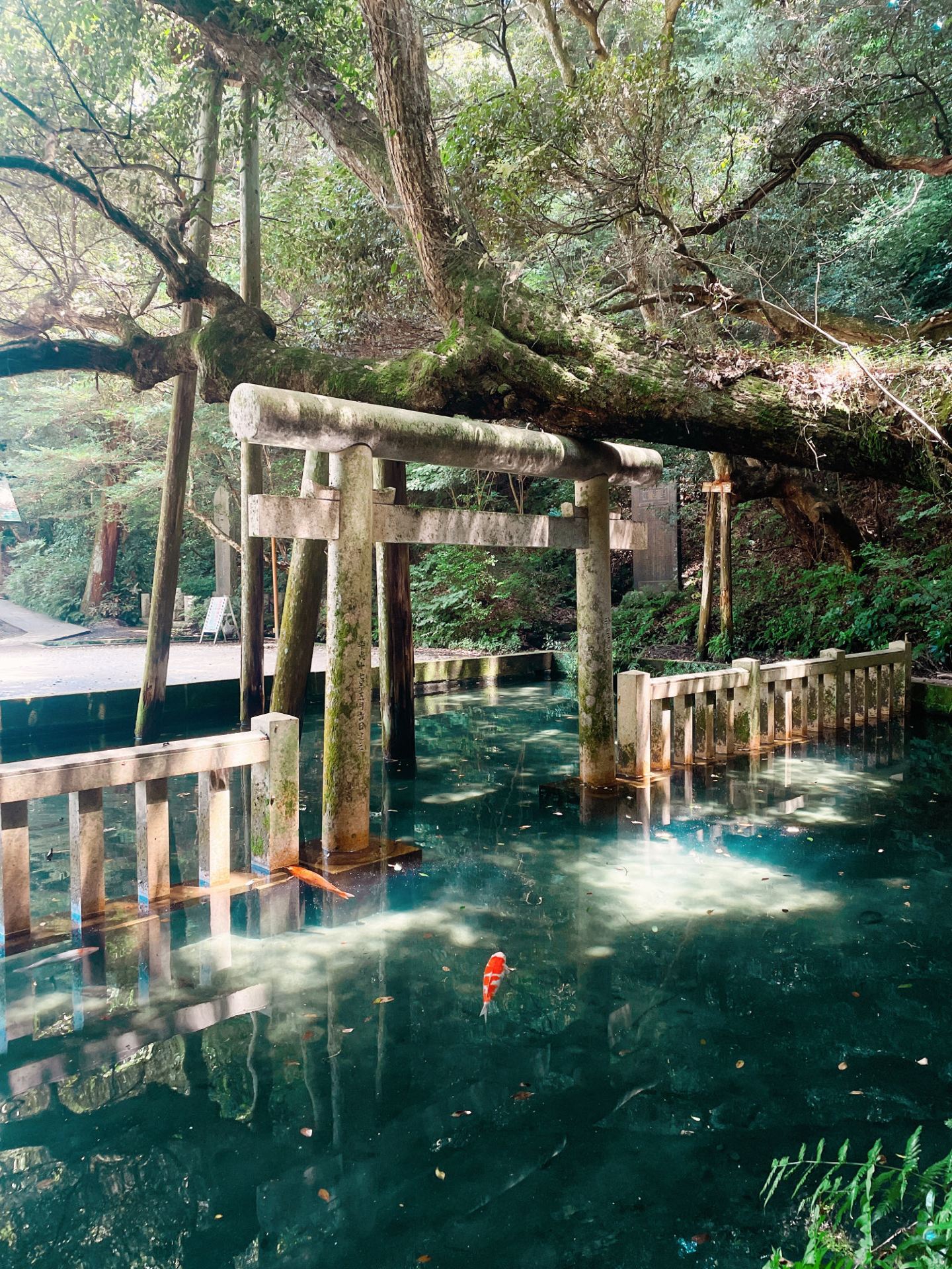 Magical day trip from Tokyo.