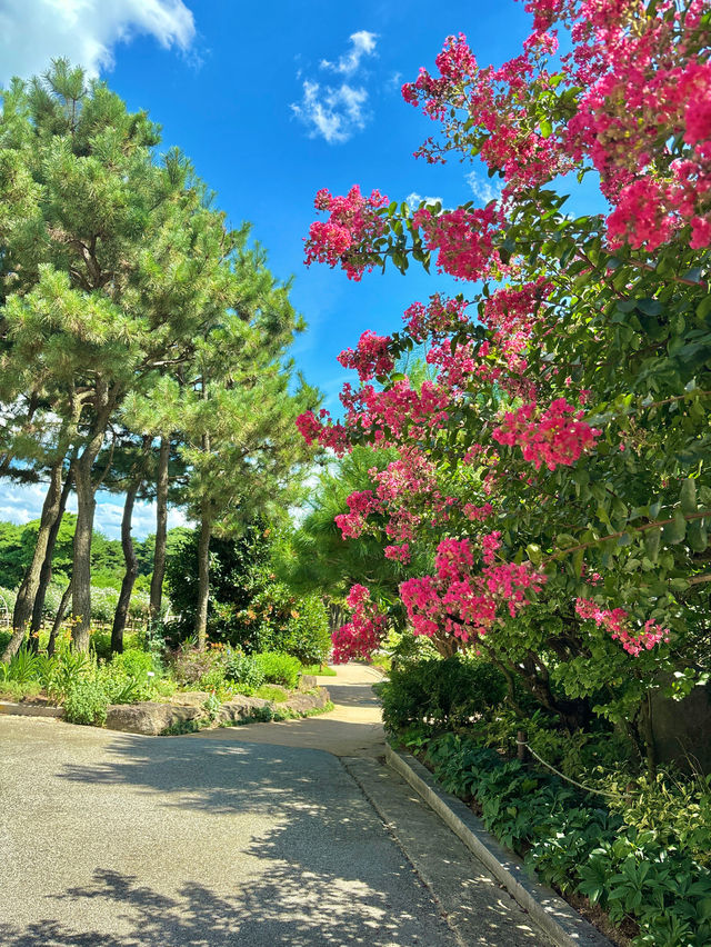 이국적인 풍경의 수목원을 찾는다면 무료 전주 수목원💛