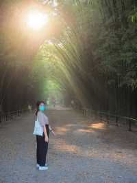 ซุ้มต้นไผ่@นครนายก