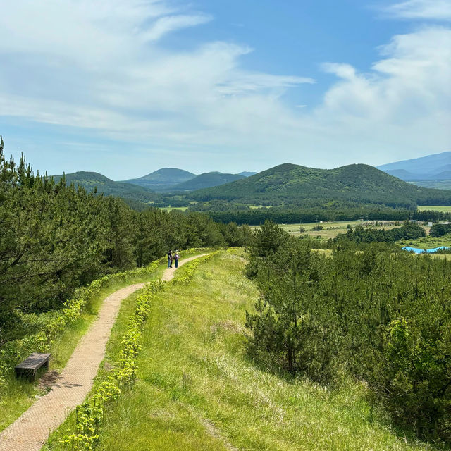 제주여행🏝️ 다섯번째 오름, 왕초보자도 오를 수 있는 아부오름🌳