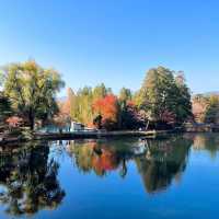 【湯布院】風光明媚な輝く金鱗湖が眼前！素敵ペンション✨