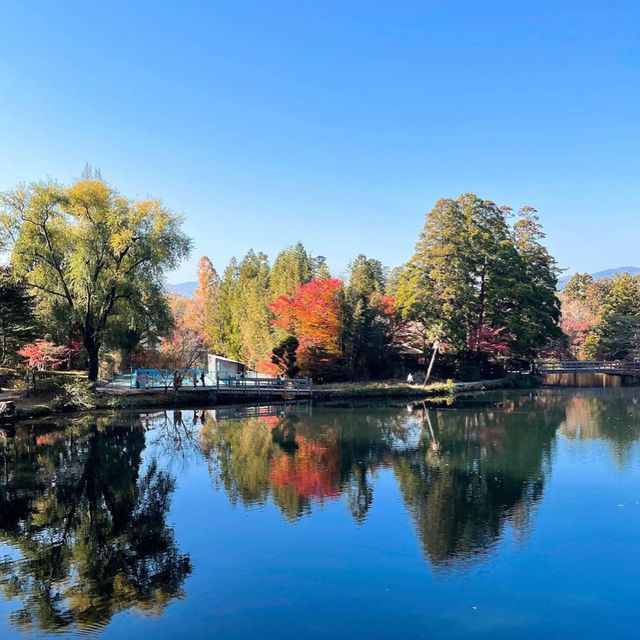 【湯布院】風光明媚な輝く金鱗湖が眼前！素敵ペンション✨