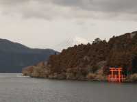 箱根 - 休閒舒適之旅