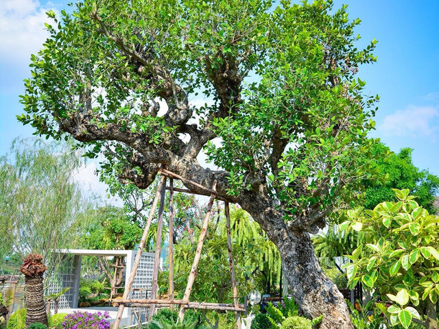 คาเฟ่ในสวนมีน้ำตกร่มรื่น คลอง15 นครนายก
