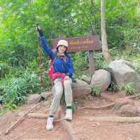 ภูสอยดาว - พิชิตลานสน ชมดอกหงอนนาค