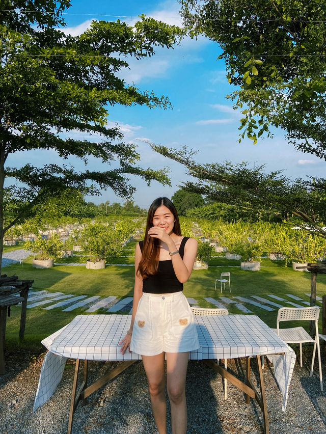 Lemon Me Farm Cafe