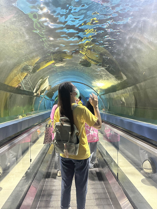 บางแสน อวาเรียม โซนใหม่ ว้าวมาก 🐠🪼✨