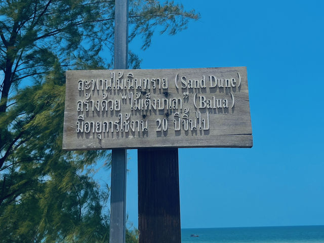 เนินทรายงาม เดินเล่นสะพานไม้ แลนด์มาร์คใหม่ชุมพร