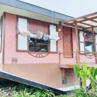 Upside Down House