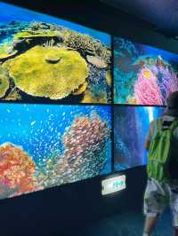 Asia's best Aquarium 