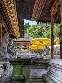 A Purification Rituals at Tirta Empul, absolutely a spiritually enlightening experience!