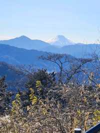 ✨️日本東京高尾山🎋✨️