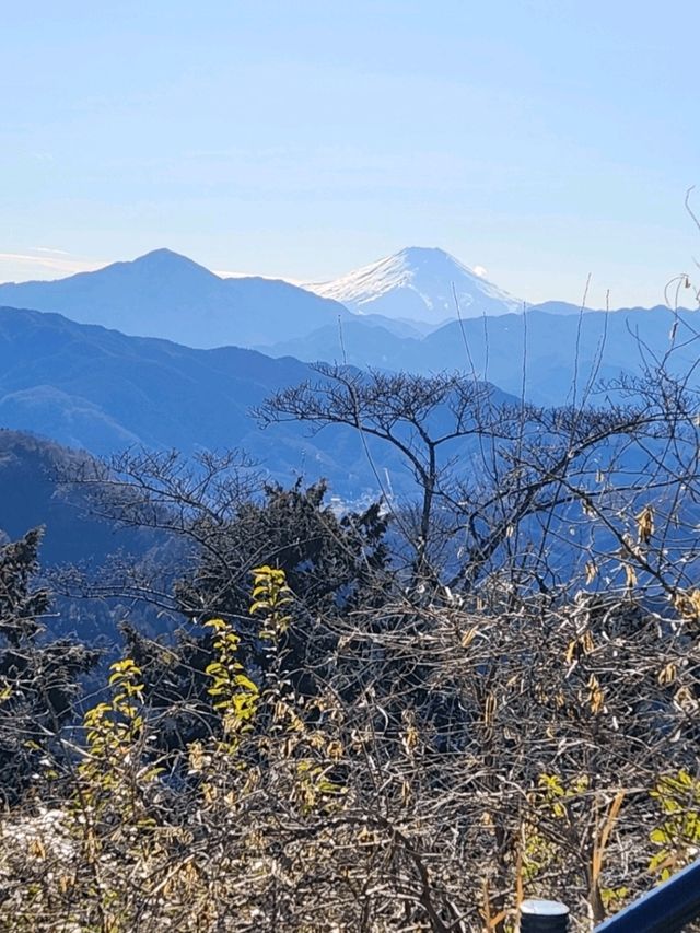 ✨️日本東京高尾山🎋✨️