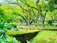 A great place to unwind, or simply enjoy nature 🏃🏻‍♂️🏃🏻‍♀️‍➡️🏃🏻‍➡️👫