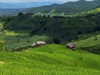 บ้านพักแฮเก นาขั้นบันไดป่าบงเปียง