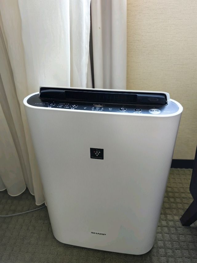 算抵住的高級商務型 - ANA大阪皇冠假日酒店