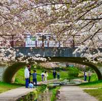 Egawa Seseragi Ryokudo: A Natural Oasis in Yokohama