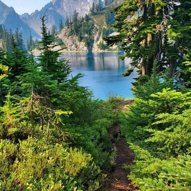 Rainier Mountain
