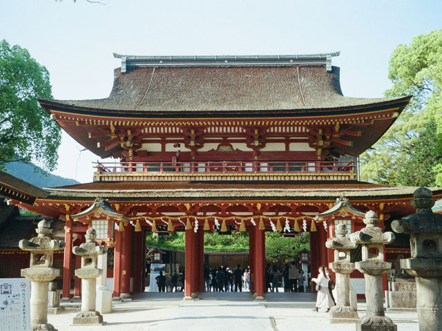 福岡遊太宰府天滿宮⛩️