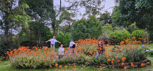 Spring Garden Kundasang, Beautiful floral and landscape