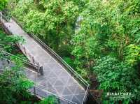 ทางเดินลอยฟ้า The Southern Ridges