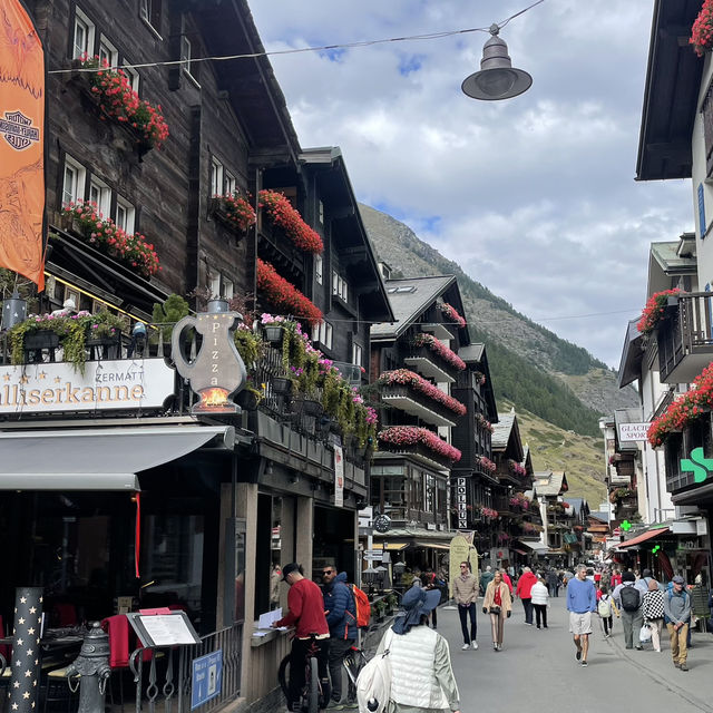 列車で国内周遊の旅🇨🇭