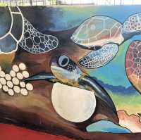 Pusat Hiasan Ikan, Port Dickson – A Hidden Gem for Marine Lovers