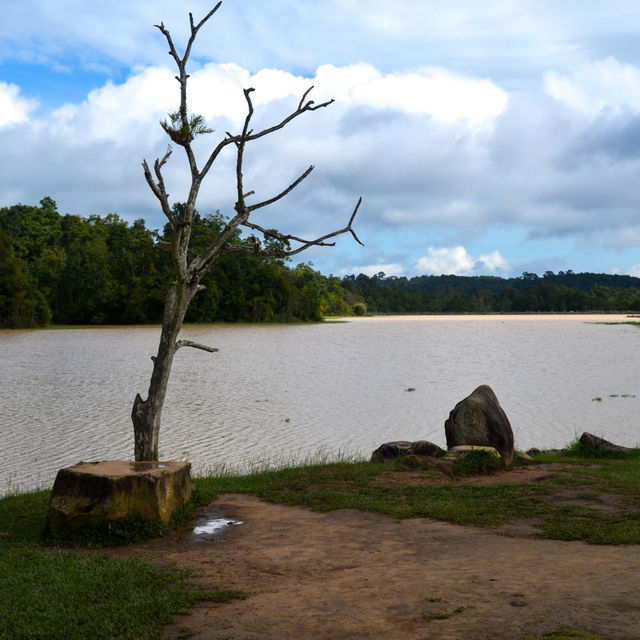 ⛰️1 วันเที่ยวบนเขาใหญ่ ⛰️
