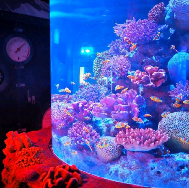 Sea Life Bangkok Ocean World