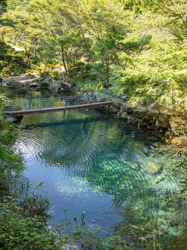 【高知県】白龍湖