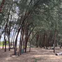 Discover Senok Beach: Kelantan’s Scenic Seaside Retreat 🇲🇾