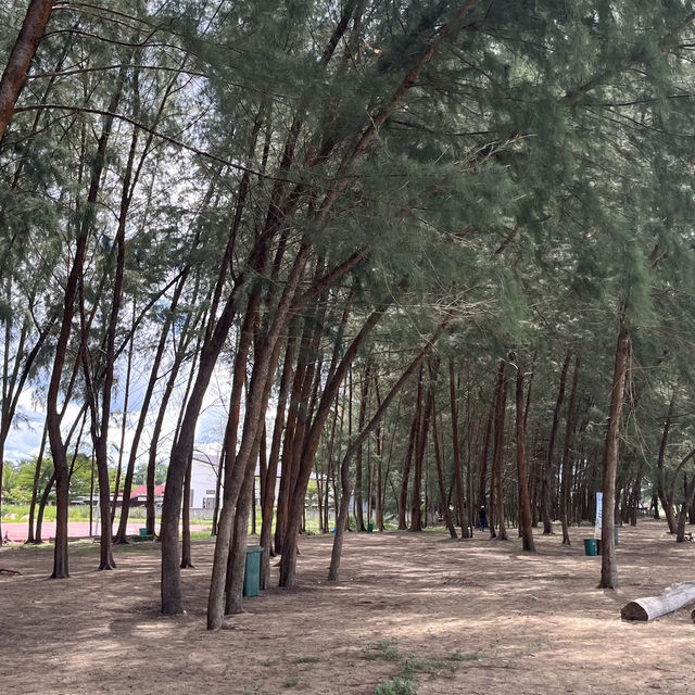 Discover Senok Beach: Kelantan’s Scenic Seaside Retreat 🇲🇾