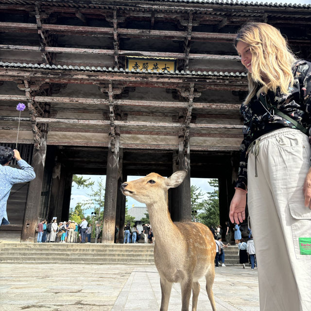 【奈良Nara】不只有小鹿的平城京