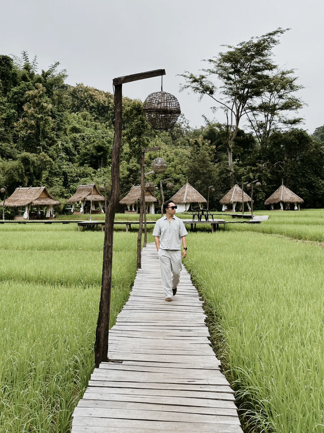 Tree House Café - ບ້ານກາເຟ ຕົ້ນໄມ້ | LUANG PRABANG 