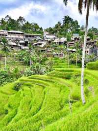 Embracing Nature at Ceking Rice Terrace