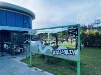 韓國釜山 好玩的跑跑卡丁車 Skyline Luge 釜山 스카이라인 루지 부산