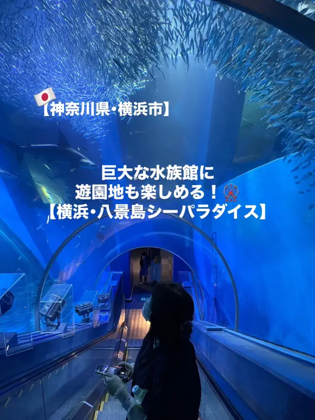 【橫濱市】超人氣水族館！橫濱・八景島海洋樂園