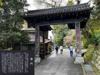 【世界遺産・金峯山寺】青の秘仏に参拝