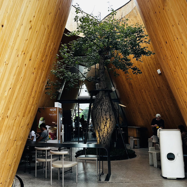A beautiful social media worthy café in Chonburi, Harudot Chonburi by Nana Coffee Roasters